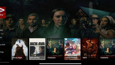 GOGO 12-Months activation code