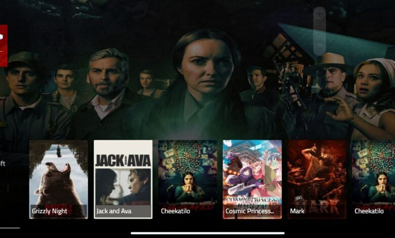 GOGO 12-Months activation code